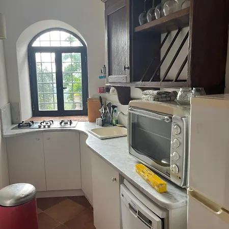 Buonarroti *